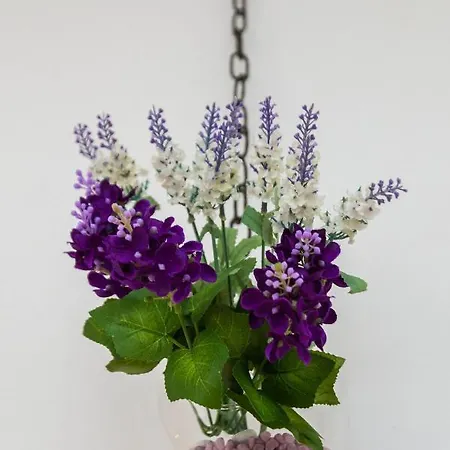 Apartament Bagi In Old Town Center